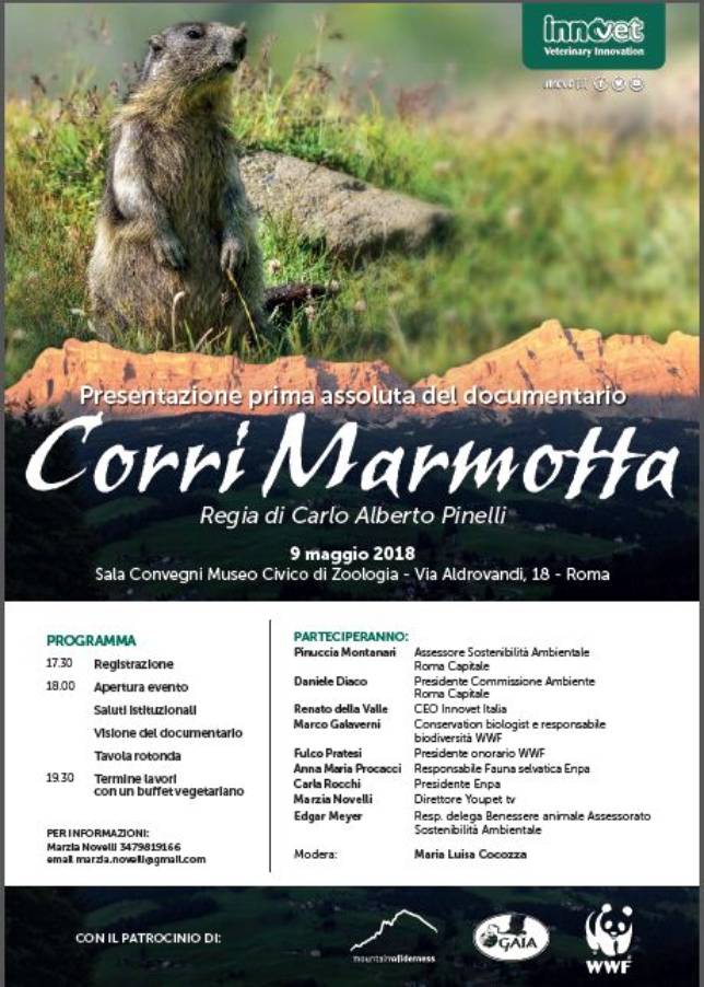 Locandina della presentazione del documentario CORRI MARMOTTA (II) - Con Programma ed elenco dei Partecipanti/Relatori // FERMIAMO LA STRAGE DI MARMOTTE! e Presentazione al MUSEO DI ZOOLOGIA di Roma del DOCUMENTARIO CORRI MARMOTTA. Un documentario di Carlo Alberto Pinelli - Iniziativa di Gaia Animali & Ambiente, assieme a Mountain Wilderness Italia e WWF Italia - Con il sostegno di Innovet, azienda di innovazione veterinaria per la salute di cani e gatti che ha prodotto il documentario. // Trailer del documentario: https://www.facebook.com/corrimarmotta/videos/210553373046733/ - Pagina dedicata: https://www.facebook.com/corrimarmotta/ == Riferimenti utili: Gaia Animali & Ambiente Onlus  Milano - www.gaiaitalia.it  gaiaanimaliambiente@gmail.com