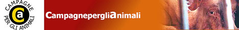 Immagine - Rif.:  www.campagneperglianimali.org  -  CAMPAGNE PER GLI ANIMALI