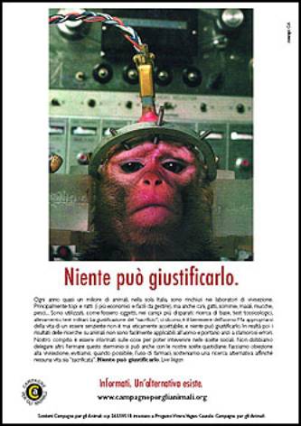 Immagine - Rif.:  www.campagneperglianimali.org  -  CAMPAGNE PER GLI ANIMALI