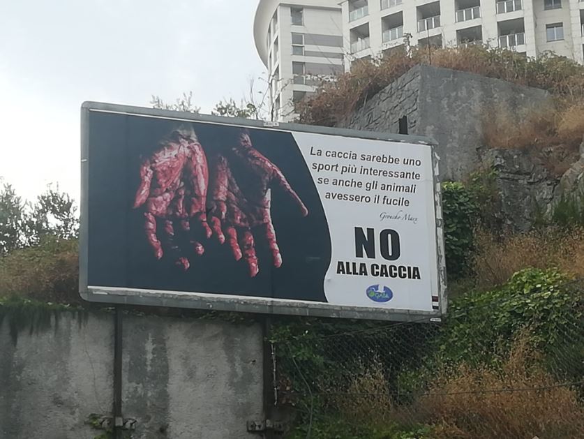 Immagine 01) - Cfr. «CAMPAGNA AFFISSIONI SHOCK» - CARTELLONI A GENOVA DICONO gNO ALLA CACCIAh [Settembre-Ottobre 2021] - Rif. Gaia Animali & Ambiente
::
Gaia Animali & Ambiente OdV
www.gaiaitalia.it – gaiaanimaliambiente@gmail.com 