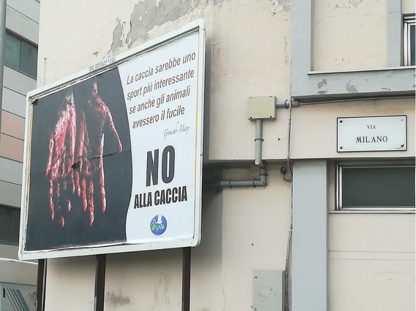 Immagine 03) - Cfr. «CAMPAGNA AFFISSIONI SHOCK» - CARTELLONI A GENOVA DICONO gNO ALLA CACCIAh [Settembre-Ottobre 2021] - Rif. Gaia Animali & Ambiente || Genova, Via Milano (sala Chiamata del porto)
::
Gaia Animali & Ambiente OdV
www.gaiaitalia.it – gaiaanimaliambiente@gmail.com