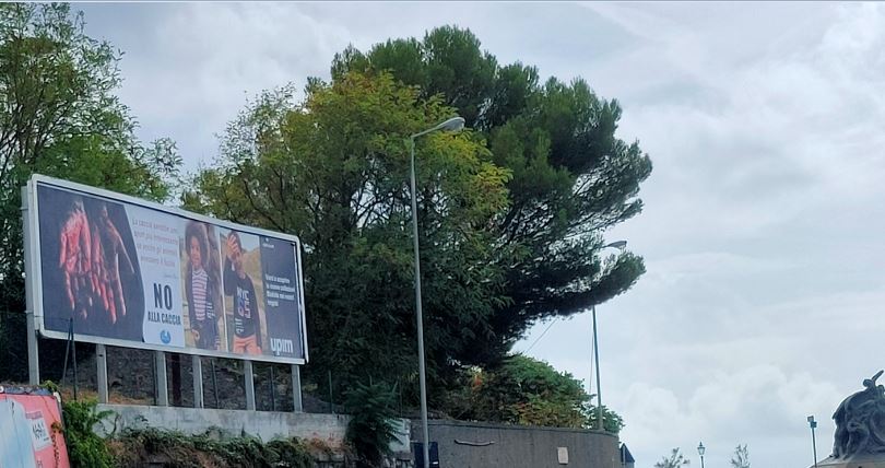 Immagine 04) - Cfr. «CAMPAGNA AFFISSIONI SHOCK» - CARTELLONI A GENOVA DICONO gNO ALLA CACCIAh [Settembre-Ottobre 2021] - Estratto-parte - Rif. Gaia Animali & Ambiente || Genova, Via 5 Maggio - Quarto (monumento)
::
Gaia Animali & Ambiente OdV
www.gaiaitalia.it – gaiaanimaliambiente@gmail.com