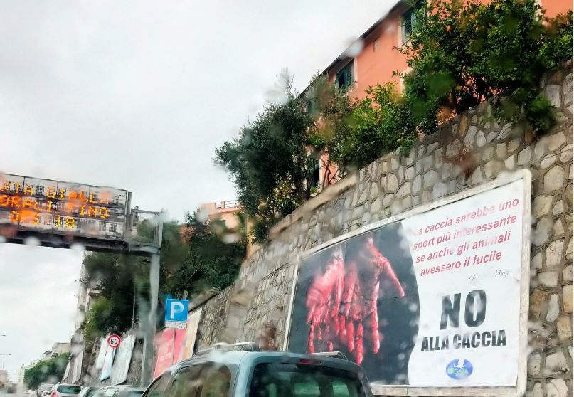 Immagine 07) - Cfr. «CAMPAGNA AFFISSIONI SHOCK» - CARTELLONI A GENOVA DICONO gNO ALLA CACCIAh [Settembre-Ottobre 2021] - Rif. Gaia Animali & Ambiente || Genova, Corso Europa - Quartiere Azzurro _ bettolo
::
Gaia Animali & Ambiente OdV
www.gaiaitalia.it – gaiaanimaliambiente@gmail.com