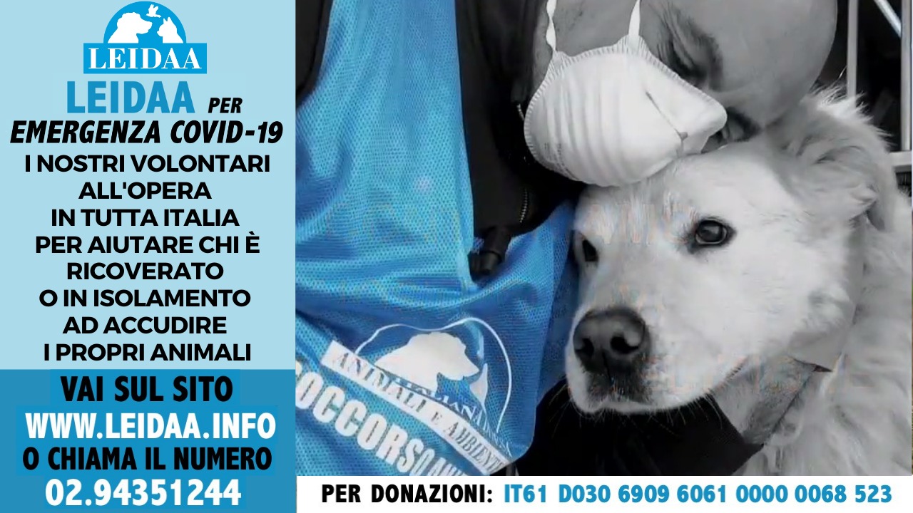 Immagine - Rif.: «LEIDAA PER EMERGENZA COVID-19 = I NOSTRI VOLONTARI ALL'OPERA IN TUTTA ITALIA PER AIUTARE CHI È RICOVERATO O IN ISOLAMENTO AD ACCUDIRE I PROPRI ANIMALI» // VAI SUL SITO WWW.LEIDAA.INFO O CHIAMA IL NUMERO 02.94351244